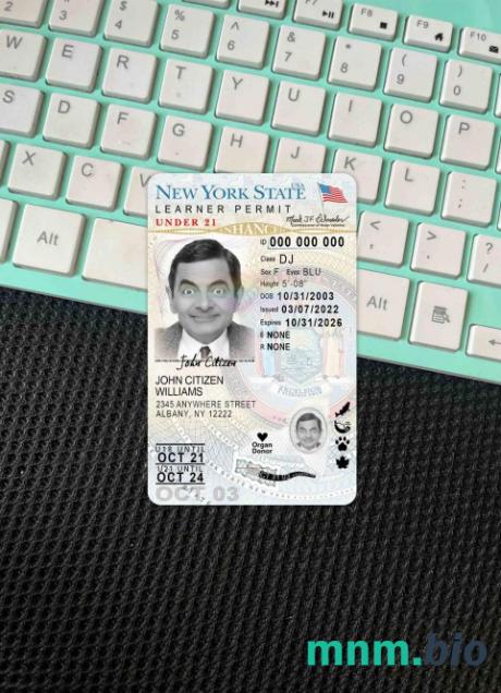 USA Nowy Jork prawo jazdy poniżej 21 lat (wersja 2) photolook